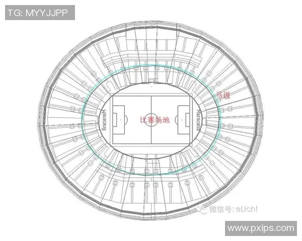 场地条件如何影响比赛结果与运动员表现的深度分析